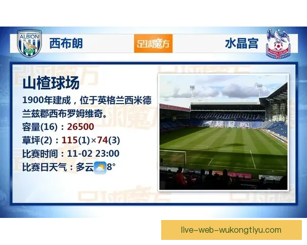 哪些软件可以观看足球直播推荐及使用技巧分析